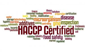 Konsultan HACCP | Food Safety Consultant